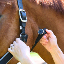 Load image into Gallery viewer, CorrectConnect Magna Halter ™ in Black with Fleece Noseband and Leather Breakaway