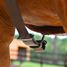 Load image into Gallery viewer, CorrectConnect 3-Point Breastplate with Double Neck Strap