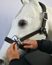 Load image into Gallery viewer, CorrectConnect Magna Halter  in Black With Leather Breakaway