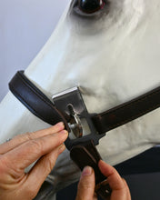 Load image into Gallery viewer, CorrectConnect Magna Halter  in Black With Leather Breakaway