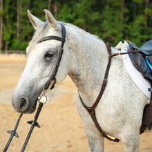 Load image into Gallery viewer, CorrectConnect 3-Point Breastplate with Double Neck Strap