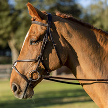 Load image into Gallery viewer, Equinavia Saga Fancy Stitched Figure 8 Bridle &amp; Reins - Chocolate Brown E10008