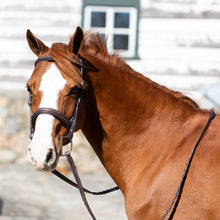 Load image into Gallery viewer, Equinavia Valkyrie Pony Fancy Stitched Bridle - Chocolate Brown E10004