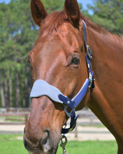 Load image into Gallery viewer, CorrectConnect Magna Halter in Blue with Fleece and Leather Breakaway
