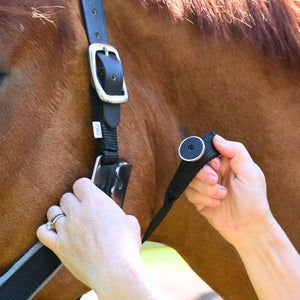 CorrectConnect Magna Halter ™ in Black with Fleece Noseband and Leather Breakaway