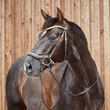 Load image into Gallery viewer, Equinavia Horze Highbury Anatomical Crystal Dressage Bridle 10154