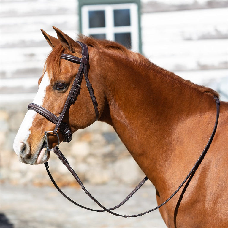 Equanavia Valkyrie Pony Fancy Stitched Bridle with Reins