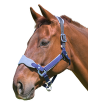 Load image into Gallery viewer, CorrectConnect Magna Halter in Blue with Fleece and Leather Breakaway