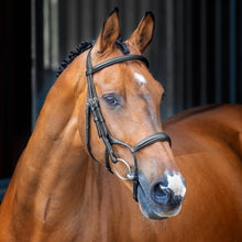 Load image into Gallery viewer, Shires Lusso Rolled Padded Cavesson Bridle 51001