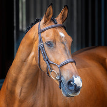 Load image into Gallery viewer, Shires Lusso Rolled Padded Cavesson Bridle 51001