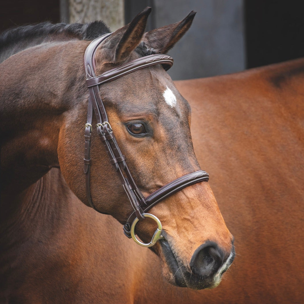 Shires Lusso Hunter Cavesson Bridle 51000