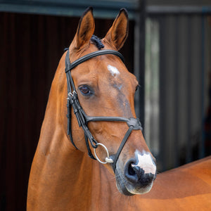 Shires Lusso Grackle Bridle 51002