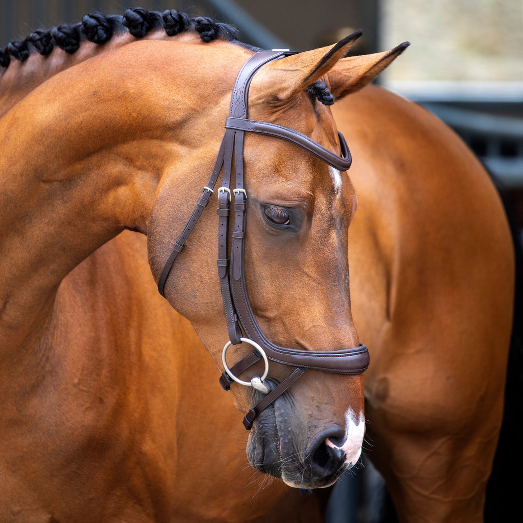 Shires Lusso Ergonomic Curved Flash Bridle 51003