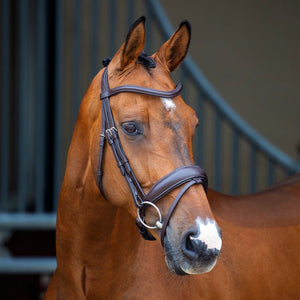 Shires Lusso Dressage Flash Bridle 51006