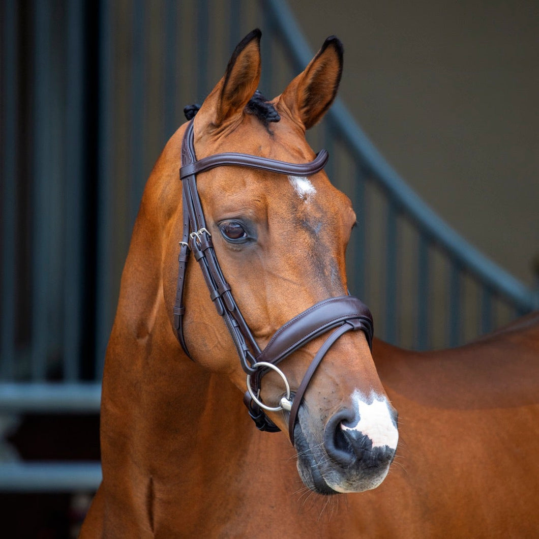 Shires Lusso Dressage Flash Bridle 51006