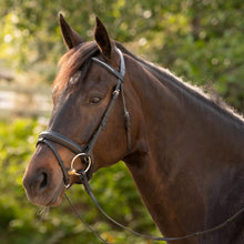 Load image into Gallery viewer, Equinavia Saga Dressage Crank Noseband Bridle &amp; Reins - Black E10005