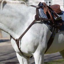 Load image into Gallery viewer, Equinavia Saga 5-point Breastplate - Chocolate Brown E10015