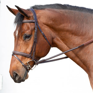 Equinavia Valkyrie Flash Bridle & Rubber Reins - Chocolate Brown E11002