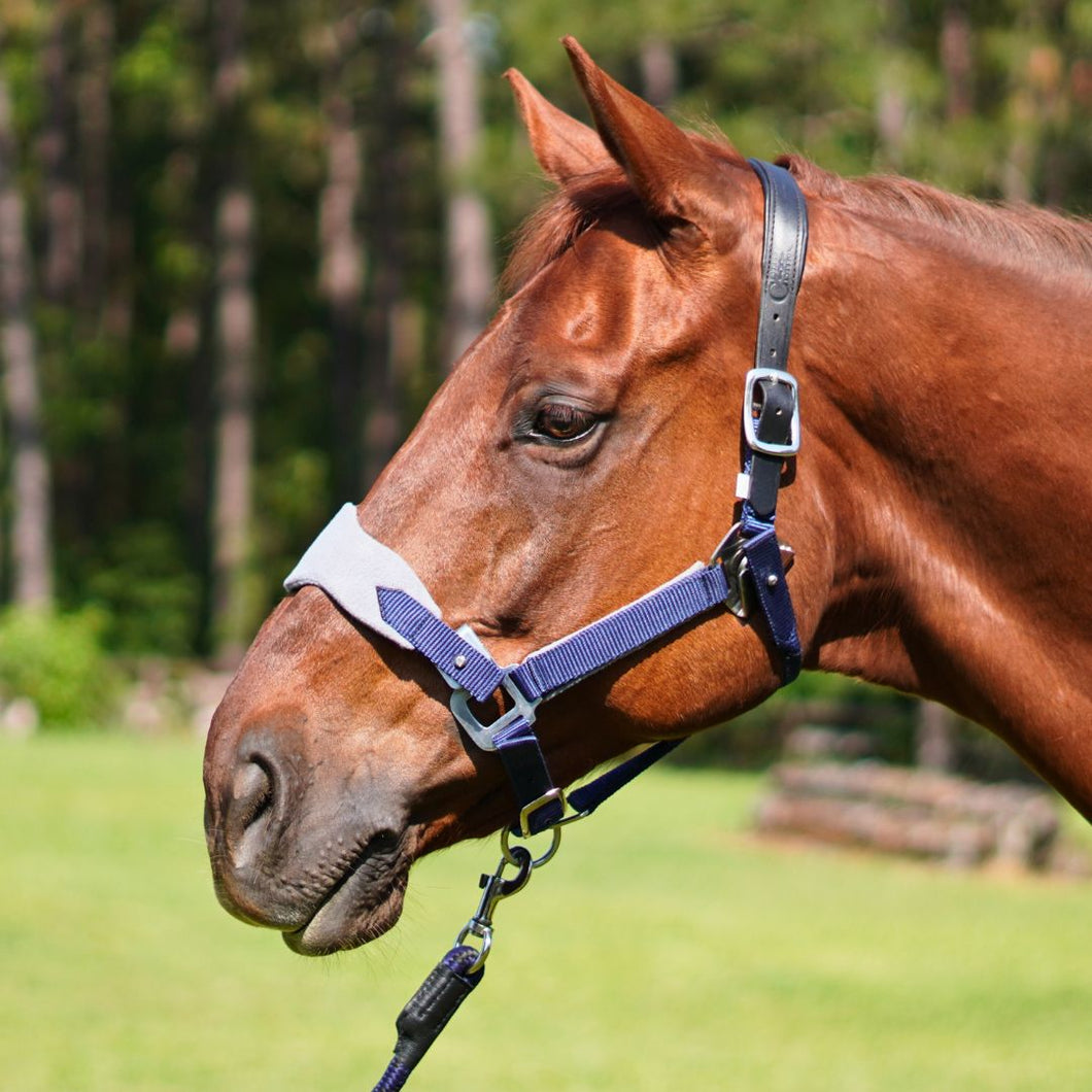 CorrectConnect Magna Halter in Blue with Fleece Noseband and Leather Breakaway