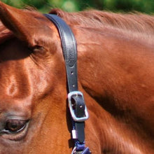 Load image into Gallery viewer, CorrectConnect Magna Halter in Blue with Fleece Noseband and Leather Breakaway