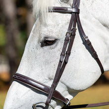 Load image into Gallery viewer, Equinavia Equinavia Valkyrie Wide Noseband Hunter Bridle with Reins - Chocolate Brown E11003