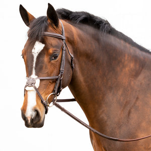 Equinavia Valkyrie Fancy Stitched Figure 8 Bridle & Reins - Chocolate Brown E10002