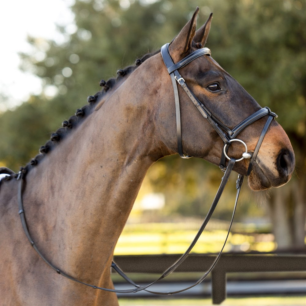 Equinavia Saga Padded Dressage Bridle & Reins - Black E10006