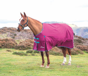 Shires Highlander Plus 300 Standard Neck 93003