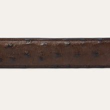 Load image into Gallery viewer, Stetson Men's Mocha Brown Ostrich Tapered Belt