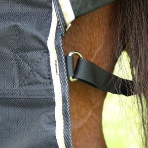 Shires Highlander Plus 200 Standard Neck 93002