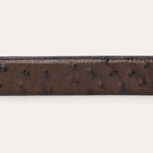 Load image into Gallery viewer, Stetson Men's Mocha Brown Ostrich Western Tab Belt