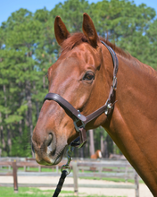 Load image into Gallery viewer, CorrectConnect Leather Magna Halter
