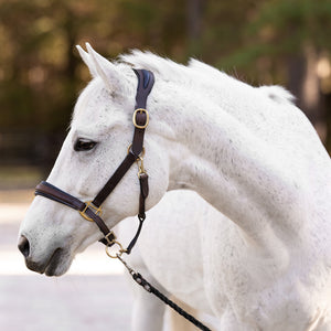 CorrectConnect Ergonomic Halter with Black Padding