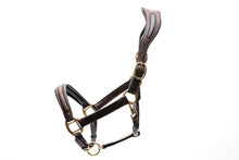 Load image into Gallery viewer, CorrectConnect Ergonomic Halter with Black Padding