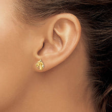 Load image into Gallery viewer, Kids Horse Head Screw Back Post Earrings in 14k Yellow Gold