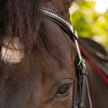 Load image into Gallery viewer, Equinavia Saga Dressage Crank Noseband Bridle &amp; Reins - Black E10005