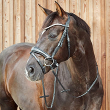 Load image into Gallery viewer, Equinavia Horze Somerset Fancy Show Bridle - Black 10156