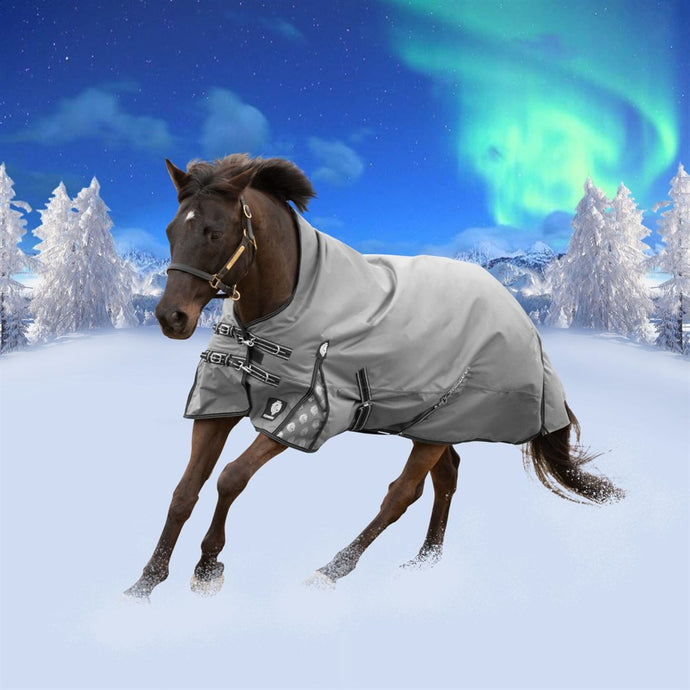 Equinavia Arktis Extended Neck Mid Weight Turnout Blanket 200g - Charcoal Gray E24008