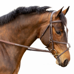 Equinavia Valkyrie Fancy Stitched Figure 8 Bridle & Reins - Chocolate Brown E10002