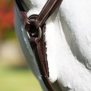 Equinavia Saga 5-point Breastplate - Chocolate Brown E10015