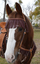 Load image into Gallery viewer, Alamo Saddlery 1 Inch Breast collar golden leather with center latigo braid and fringe 3F14-LC