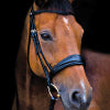 Load image into Gallery viewer, Noseband - Stubben Switch Bridle 2800