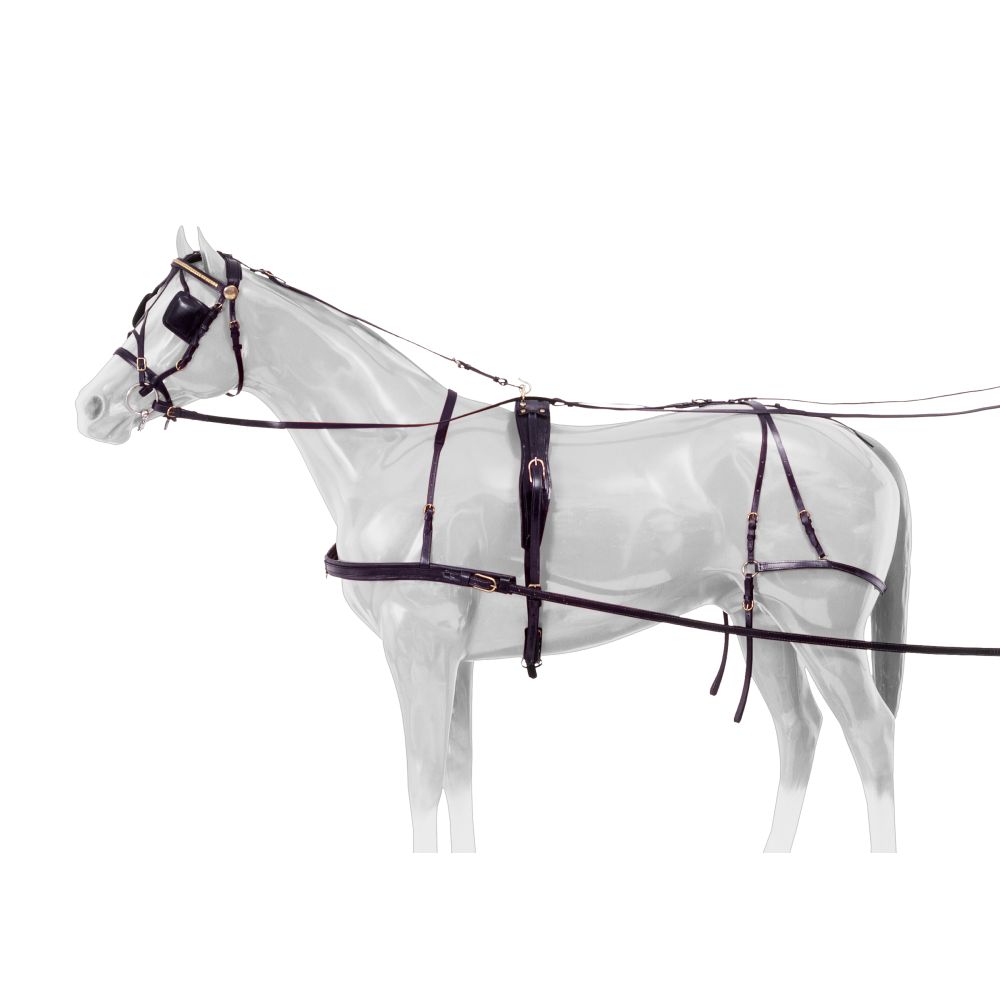 Royal King Leather Cob Harness 74-6922