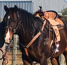 Load image into Gallery viewer, Alamo Saddlery 16 Inch Sunrise Barrel Saddle
