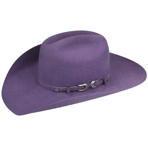 Baily Renegade Punchy Montana Grape Wool Hat W23RDC