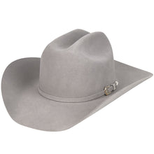 Load image into Gallery viewer, Baily Lightning 4X Silver Sand Wool and Angora Hat W0604A