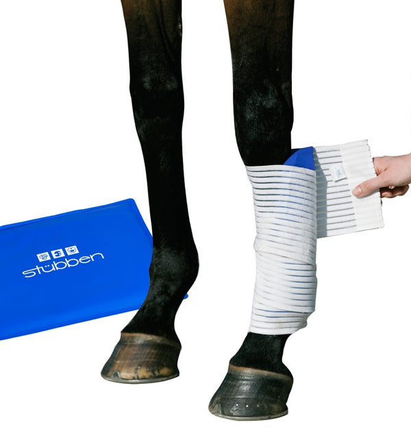 Bandage - Kryo Kompakt Horse Set