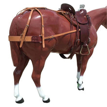 Load image into Gallery viewer, Colorado Deluxe Leather Saddle Breeching 9-50