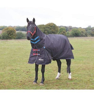 Horse Blankets - Highlander Plus 200 Standard Neck