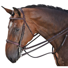 Load image into Gallery viewer, M. Toulouse Platinum DEVON Snaffle Hunter Bridle